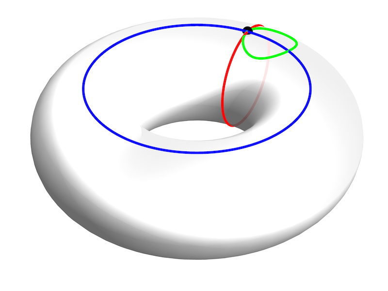 Torus loops