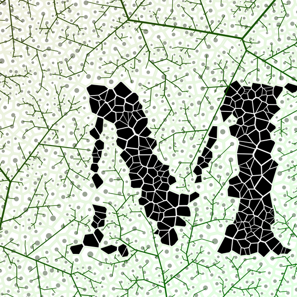 Morphotrophic